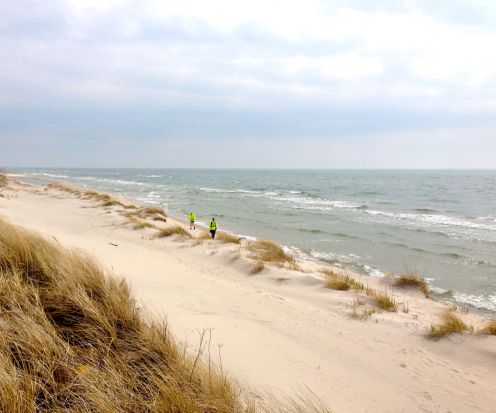 TSGUE2013 Sandhammaren